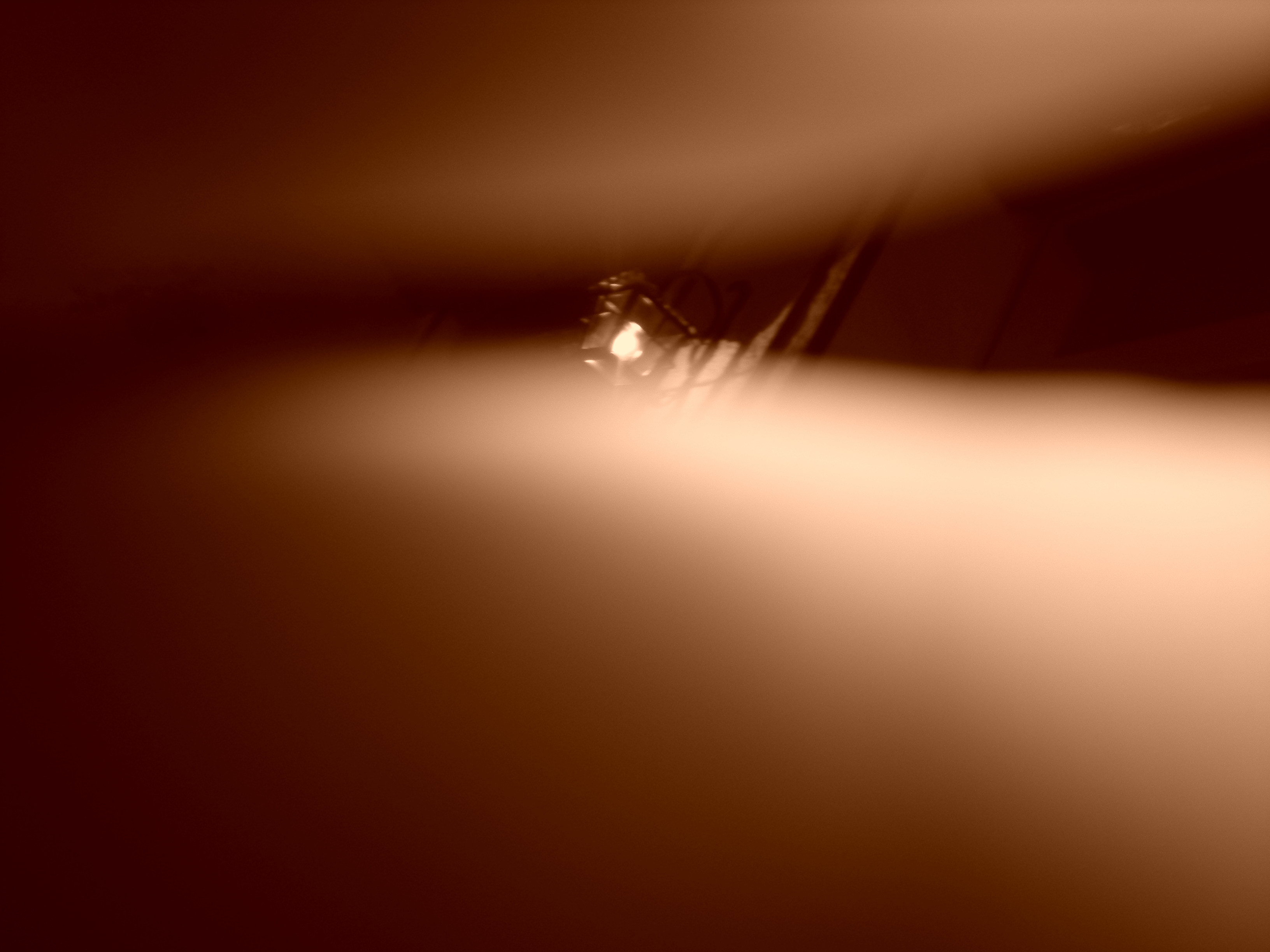 DSCN6031.JPG